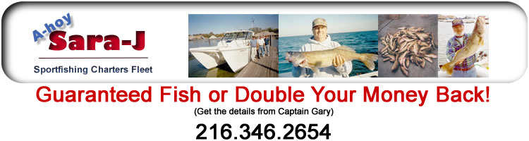 Fishing Charters on Lake Erie